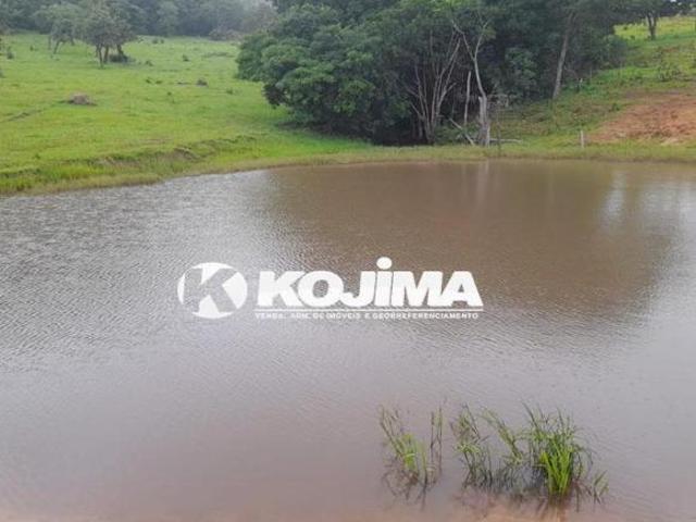 Fazenda de 20 Alqueires em Iporá, Goiás Fazenda de 20 Alqueires em Iporá, Goiás