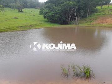 Fazenda de 20 Alqueires em Iporá, Goiás Fazenda de 20 Alqueires em Iporá, Goiás