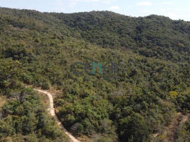 Fazenda de 210 ha a 50 km de Belo Horizonte
