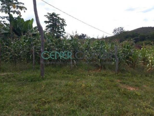 Fazenda de 230 ha Às Margens da MG 451 em Olhos D&apos Água MG