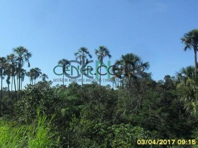 Fazenda de 2.556 ha em Chapada com altitude de 950 Às Margens da BR 365