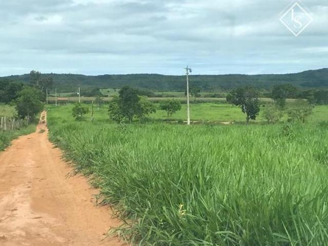 Fazenda de 350 h formada, com Rio São Francisco. outorga. Topografia plana