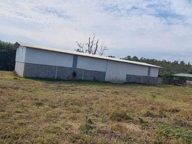 Fazenda de 390 hectares em Itapererica/Neolandia MG