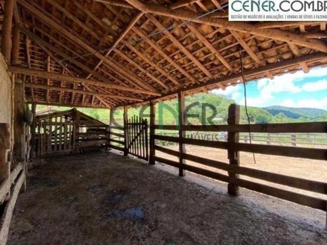 Fazenda de 388 ha com Linda Sede antiga e muita agua