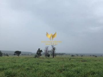 FAZENDA DE 300 ALQUEIRES APARECIDA TABOADO
