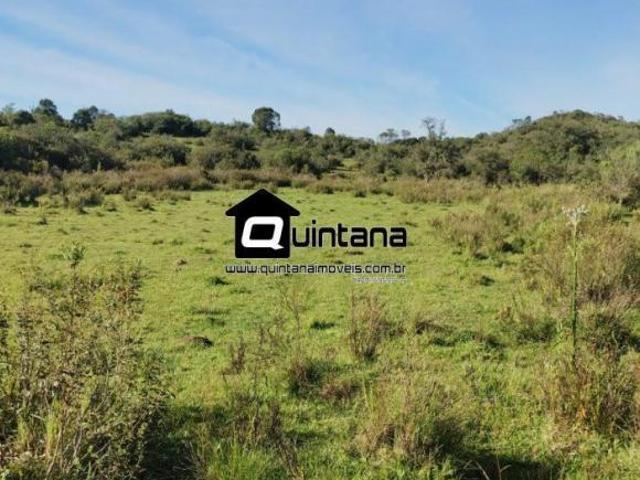 FAZENDA DE 300 HECTARES EM HERVAL