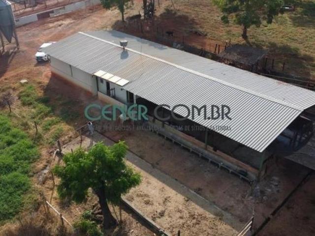 Fazenda de 308,36 ha – Um Patrimônio Rural a Apenas 100 km de Belo Horizonte!