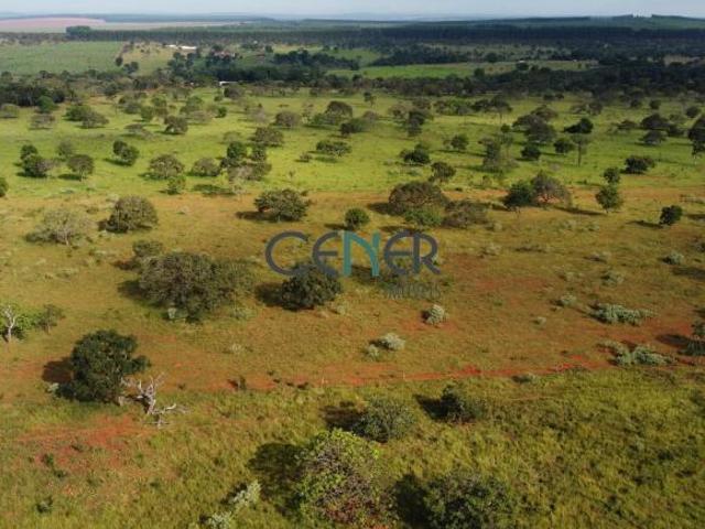Fazenda de 308,36 ha – Um Patrimônio Rural a Apenas 100 km de Belo Horizonte!