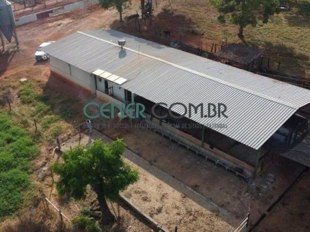 Fazenda de 308,36 ha – Um Patrimônio Rural a Apenas 100 km de Belo Horizonte!