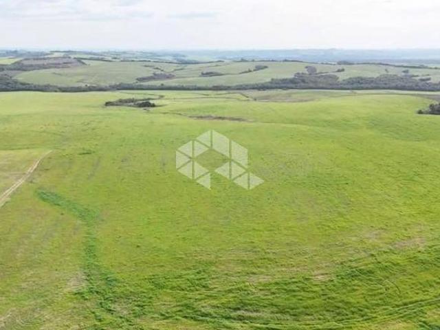 Fazenda de 312 hectares com pivô de irrigação à venda próximo de São Gabriel RS