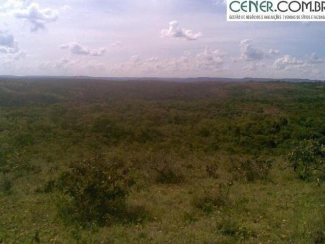 Fazenda de 339 ha Ótima para pecuária ou Reserva