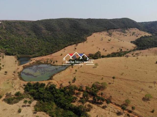 FAZENDA DE 339 HECTARES!