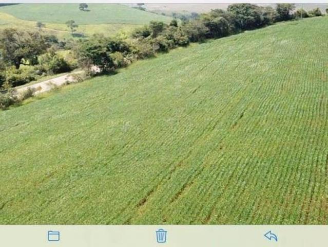 Fazenda de 440 hectares com 200 hectares de soja e milho e luxuosa casa sede em Cruzília/MG
