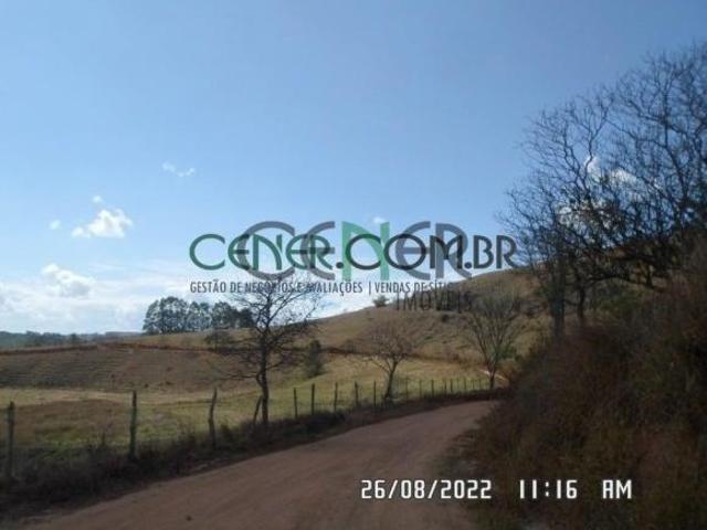 Fazenda de 44 ha Ótima para agricultura e Pronta para Leite