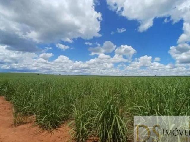 Fazenda de 403 alqueires em Pacaembu SP: oportunidade única na região de Adamantina. Invista já!