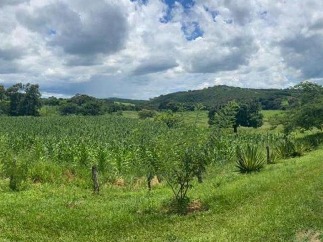 Fazenda de 425 hectares localizada em Monjolos/MG