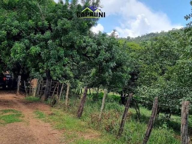 Fazenda de 54 Hectares com Infraestrutura Completa entre Piracema e Passa Tempo