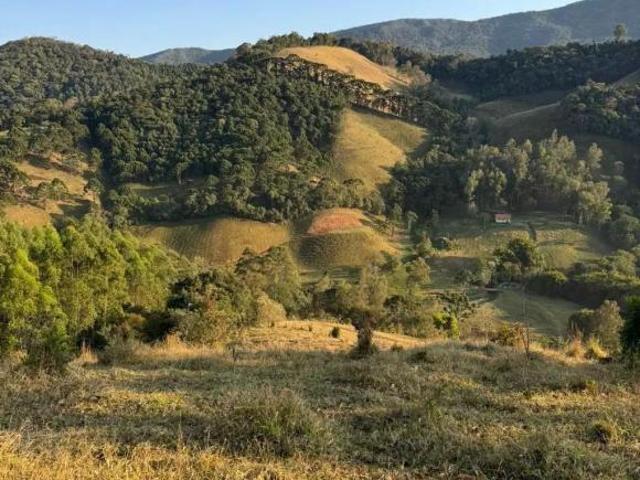 Fazenda de 55,16 hectares em Delfim Moreira MG, bairro Rosário com casa 3 quartos, 3 banheiros e 8 v