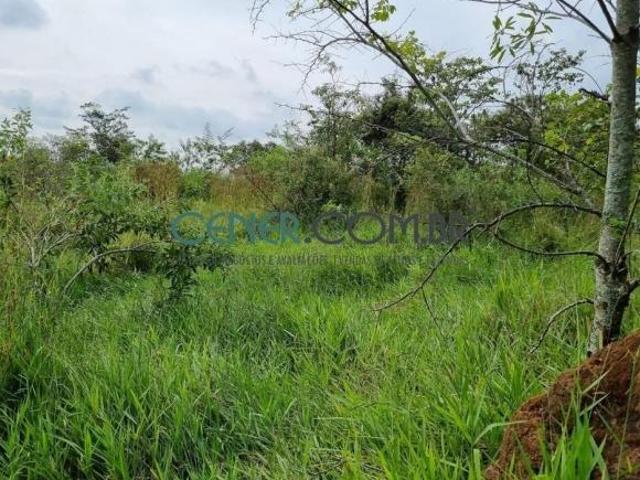 Fazenda de 586 ha em Santo Antônio do amparo no Sul de Minas