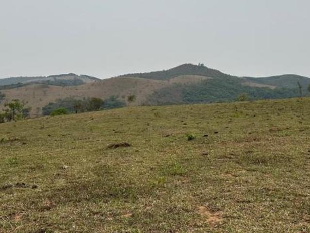 FAZENDA DE 51ha C/ EXCELENTE TOPOGRAFIA, TERRA DE CULTURA E RICA EM ÁGUA À VENDA EMM PASSA TEMPO/MG