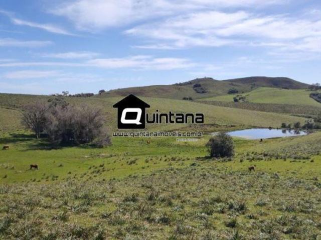Fazenda de 520 hectares R$ 16.000/ha