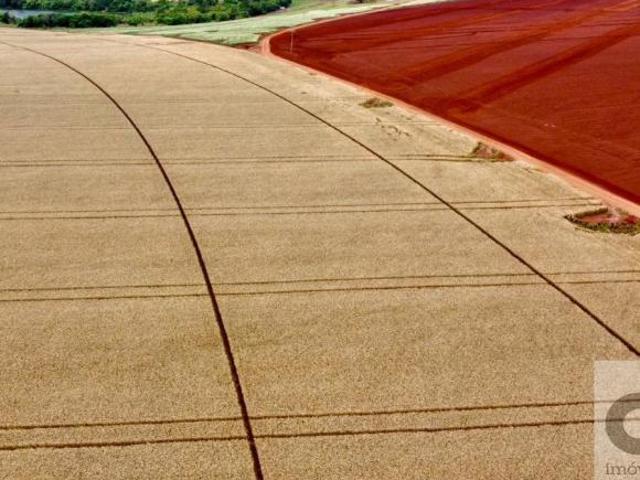 Fazenda de 690 alqueires à venda em Itaberá SP: Terra roxa, irrigação, estrutura completa!