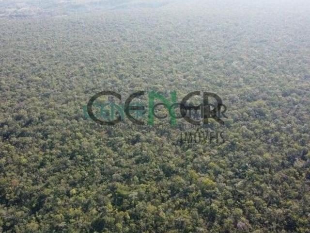 Fazenda de 600 ha toda Plana e Ótimo Local por apenas 1.400.000,00