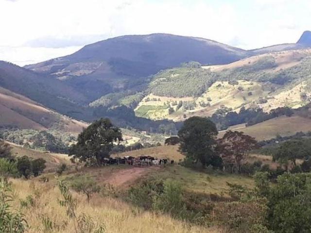 Fazenda de 605 hectares com dupla aptidão e linda cachoeira em Aiuruoca MG