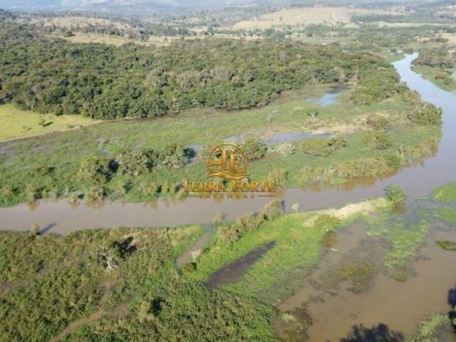 Fazenda de 63 hectares em Cláudio/MG | Indicada para plantio, pecuária | Com nascentes e represa