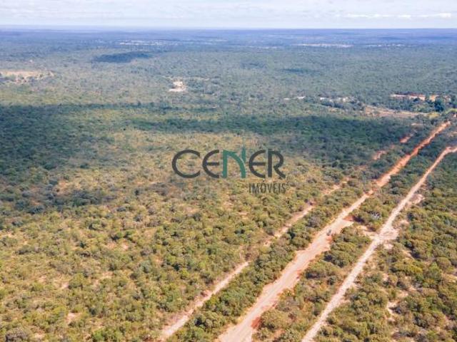 Fazenda de 6 200 ha toda plana ótima para reflorestamento e pecuária
