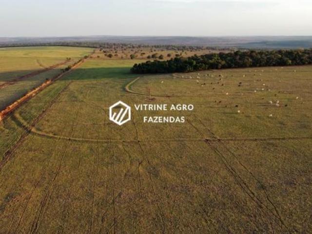 Fazenda de 797 hectares à venda em Costa Rica/MS. Dupla aptidão. localizada a 18 Km da MS 316 A o