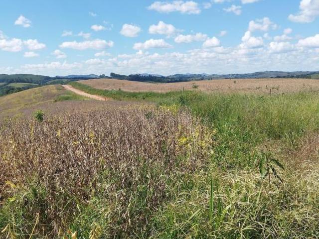 Fazenda de 700 Hectares com Luxo e Alta Produtividade no Sul de MG!