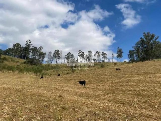 Fazenda de 70 alqueires Palmeiral Sul de Minas