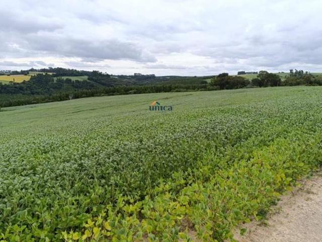 Fazenda de 84 hectares na BR 116: invista em alta produtividade e valorização futura! Agende sua vis