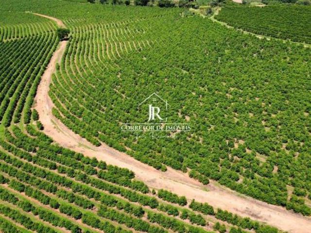 Fazenda de 83,0 hás Cafeeira Produtiva Campos Gerais / Córrego do Ouro