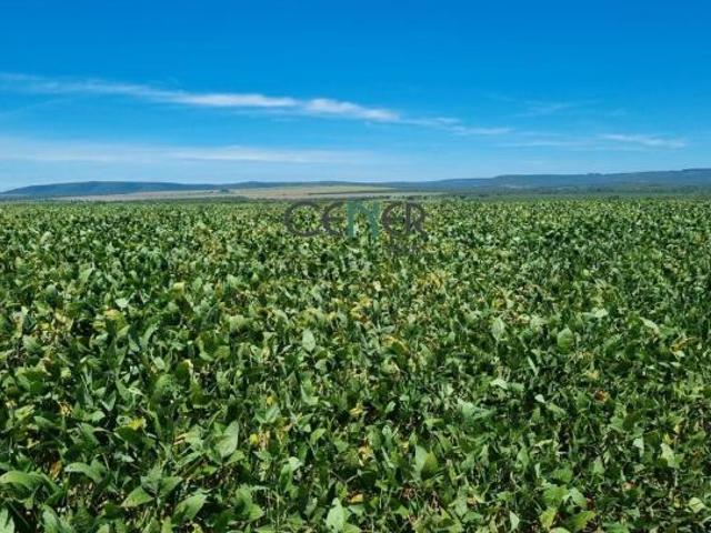 Fazenda de 8 402 ha em potencial agronegócio em MG
