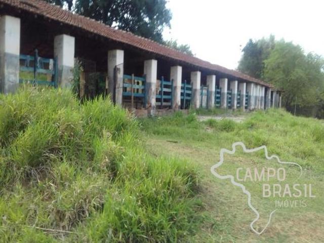Fazenda de 98 alqueires no Sul de Minas!