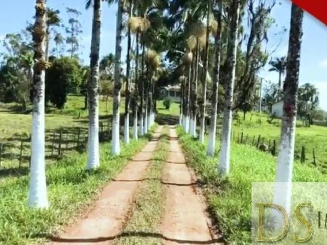 FAZENDA DE 90 ALQUEIRES À VENDA EM IGUAPE/SP POTENCIAL PARA PECUÁRIA E CULTIVO LOGÍSTICA PRIVILE