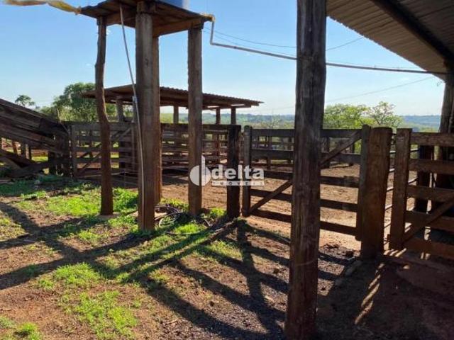 Fazenda disponível para venda na zona rural em Uberlândia MG