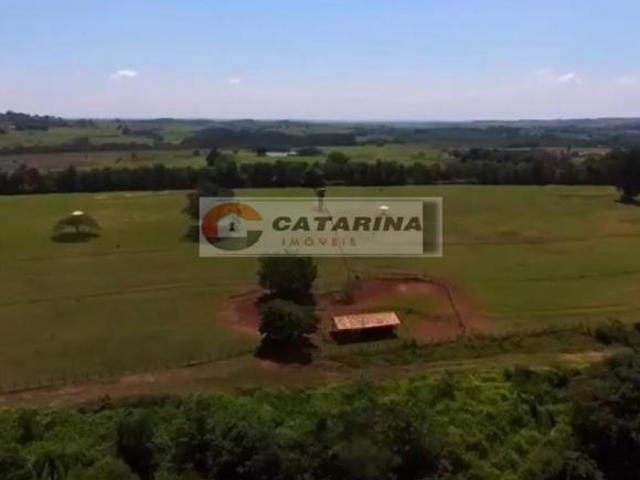 Fazenda dos Sonhos em Cesario Lange: Seu Refúgio para Criação de Animais!
