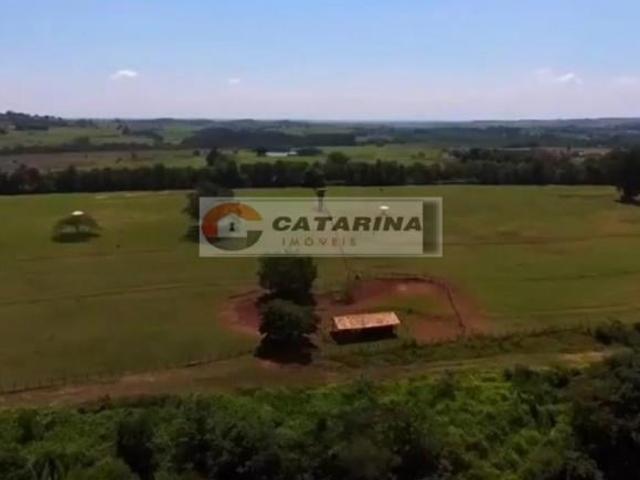 Fazenda dos Sonhos em Cesario Lange: Seu Refúgio para Criação de Animais!
