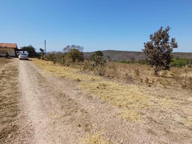 Fazenda excelente para pecuária em Jaraguá Go