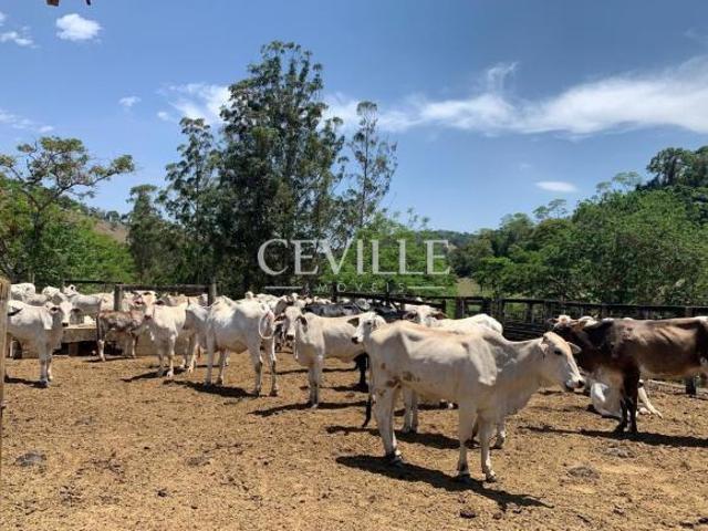 Fazenda exclusiva a poucos minutos de BH