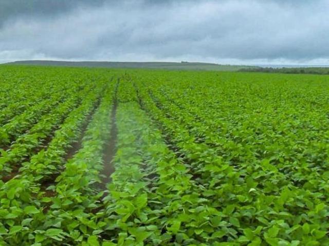 Fazenda Eldorado