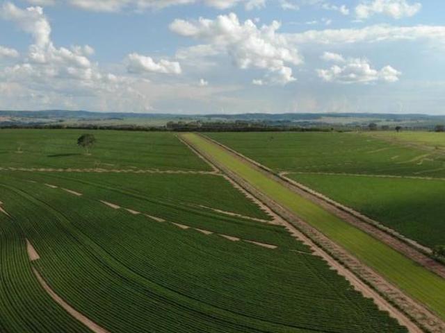 Fazenda em Marília