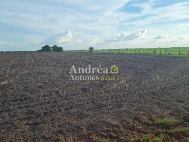 Fazenda em Mato Grosso, Porto Alegre Do Norte/MT de 1360m² 6 quartos à venda por R$ 25.000.000,00