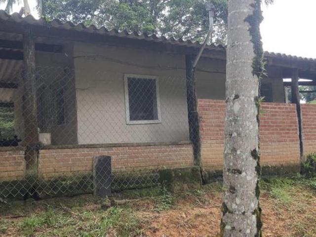 Fazenda em Miracatu COD: 5818 F: 11 97302 9229 CESAR