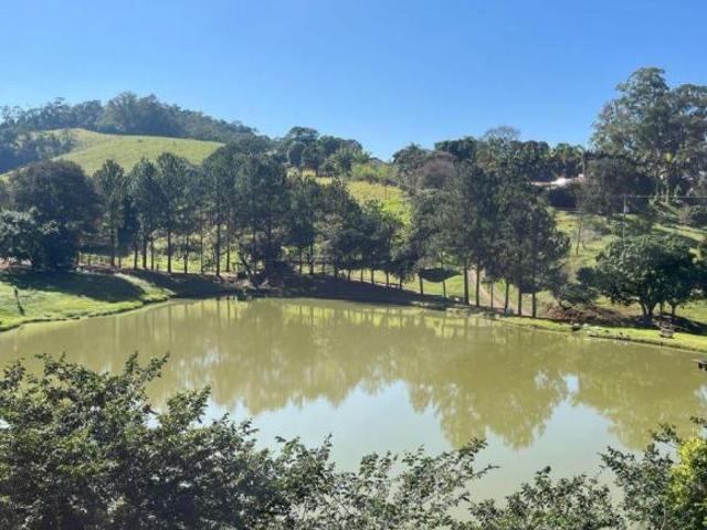 FAZENDA EM MONTE ALEGRE DO SUL 83 HECTARES