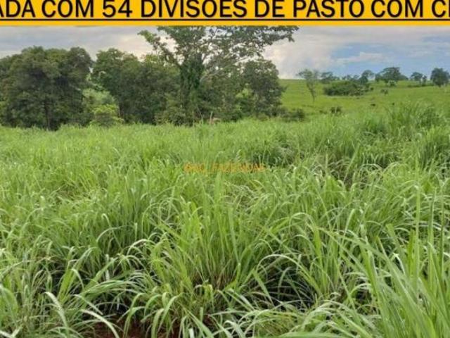 Fazenda em Monte Alegre Goiás
