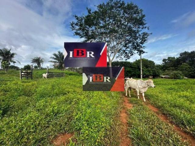 Fazenda em Nobres MT